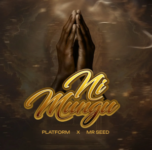 Platform Ft Mr Seed – Ni Mungu