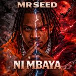 Mr Seed – Ni Mbaya