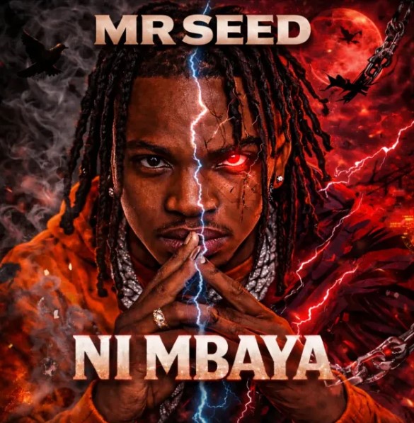 Mr Seed – Ni Mbaya
