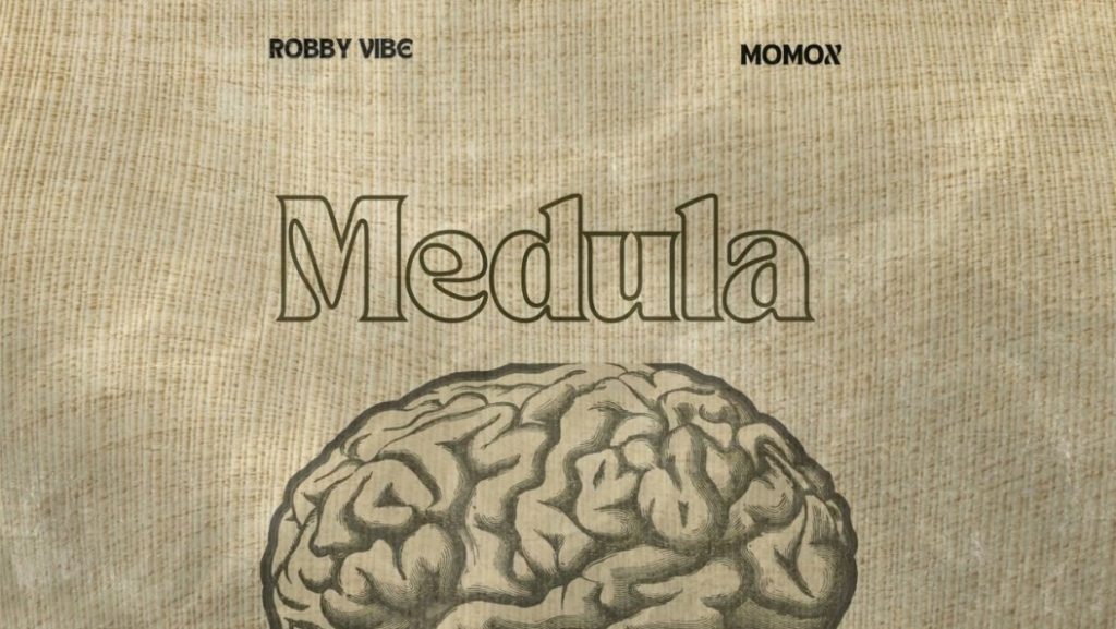 Robby Vibe Ft Momox KE – Medula