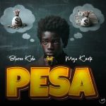 Blaros kida Ft Meja Kunta - Pesa