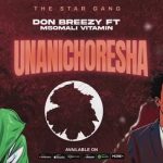 Don Breezy Ft Msomali Vitamin - Unanichoresha