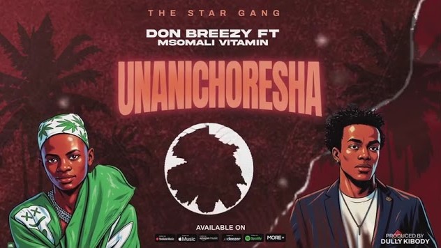 Don Breezy Ft Msomali Vitamin - Unanichoresha