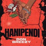 Don Breezy - Hanipendi