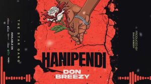 Don Breezy - Hanipendi