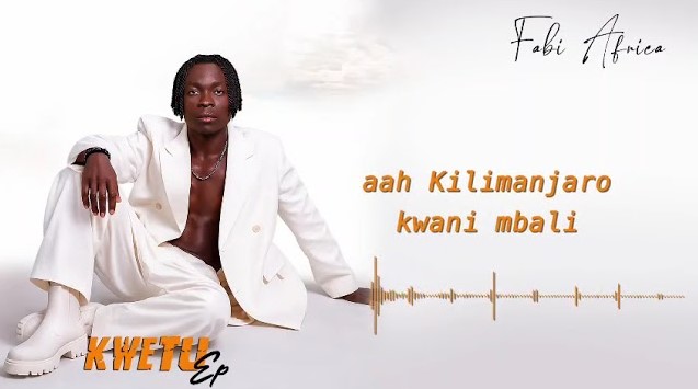 Fabi Africa - Mwanahamisi