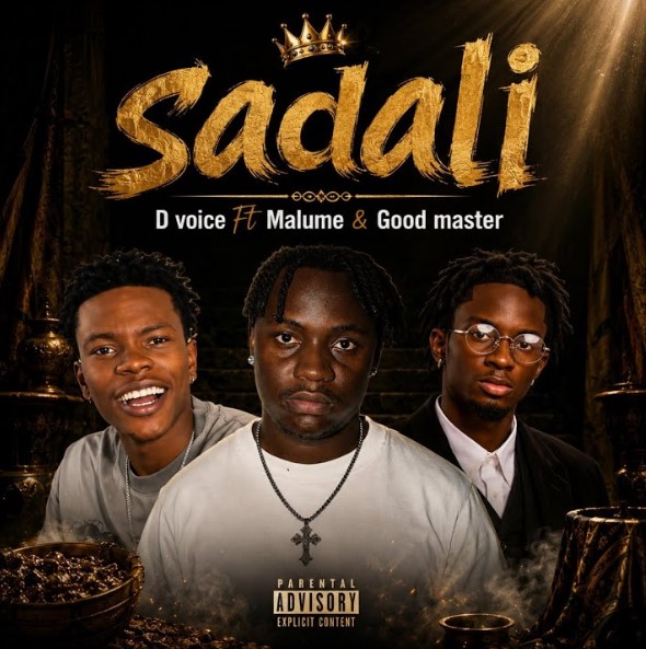 Good Master Ft D Voice & Malume – Sadali