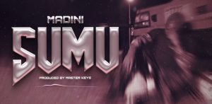 Madini – Sumu