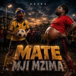 Ndaro - Mate Mji Mzima