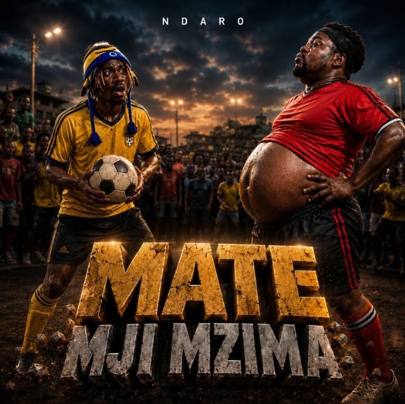 Ndaro - Mate Mji Mzima