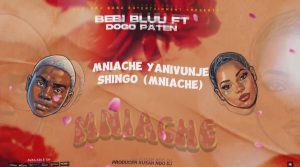 Bebi Bluu Ft Dogo Paten - Mniache