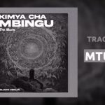 Black Ninjah – Mtundu (Punguani)