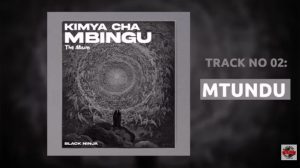 Black Ninjah – Mtundu (Punguani)