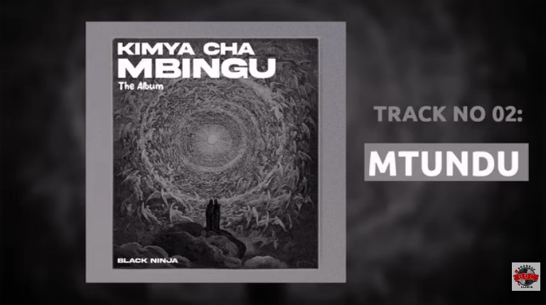 Black Ninjah – Mtundu (Punguani)