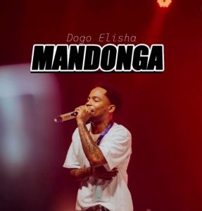 Dogo Elisha - Mandonga