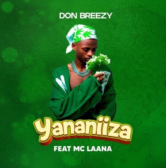 Don Breezy Ft Mc Laana - Yananiiza