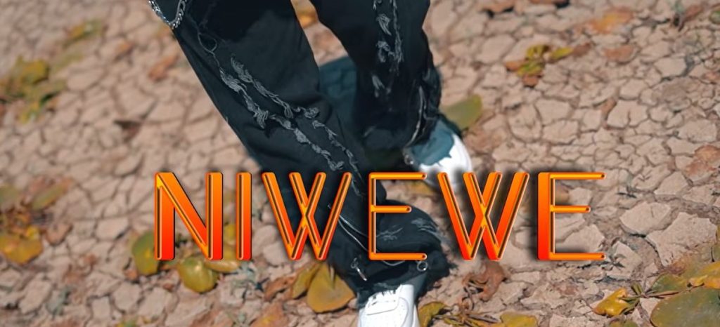 Pawizo Ft B2k Mnyama - Ni Wewe