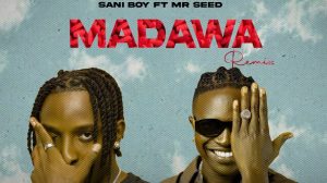 Sani Boy Ft Mr Seed – Madawa (Remix)