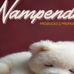 Simba Evara – Nampenda