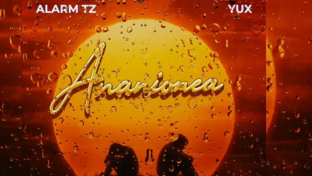 Alarm tz Ft Yux - Ananionea