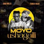 Dogo Mallo Ft Tundaman - Moyo Ushagaili