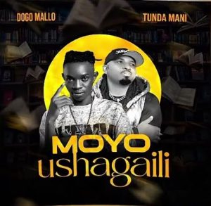 Dogo Mallo Ft Tundaman - Moyo Ushagaili