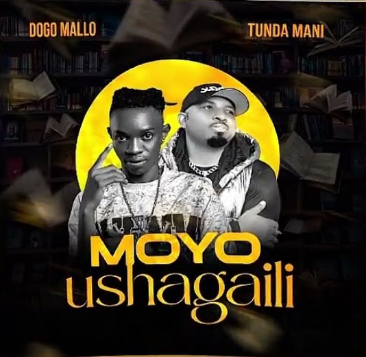 Dogo Mallo Ft Tundaman - Moyo Ushagaili