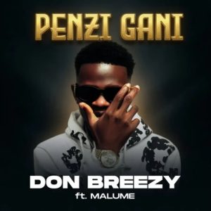 Don Breezy Ft Malume - Penzi Gani
