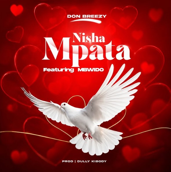 Don Breezy Ft Mbwido - Nishampata