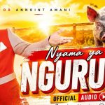 Dr Annoint Amani - Nyama Ya Nguruwe