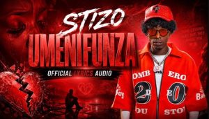 Stizo – Umenifunza