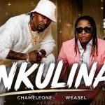 Weasel Ft Chameleon – Nkulina
