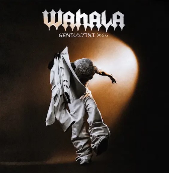 GeniusJini x66 – Wahala