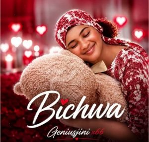 Geniusjini X66 – Bichwa