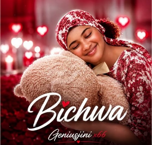 Geniusjini X66 – Bichwa