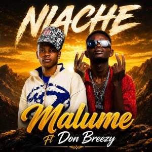 Malume Ft Don Breezy – Niache