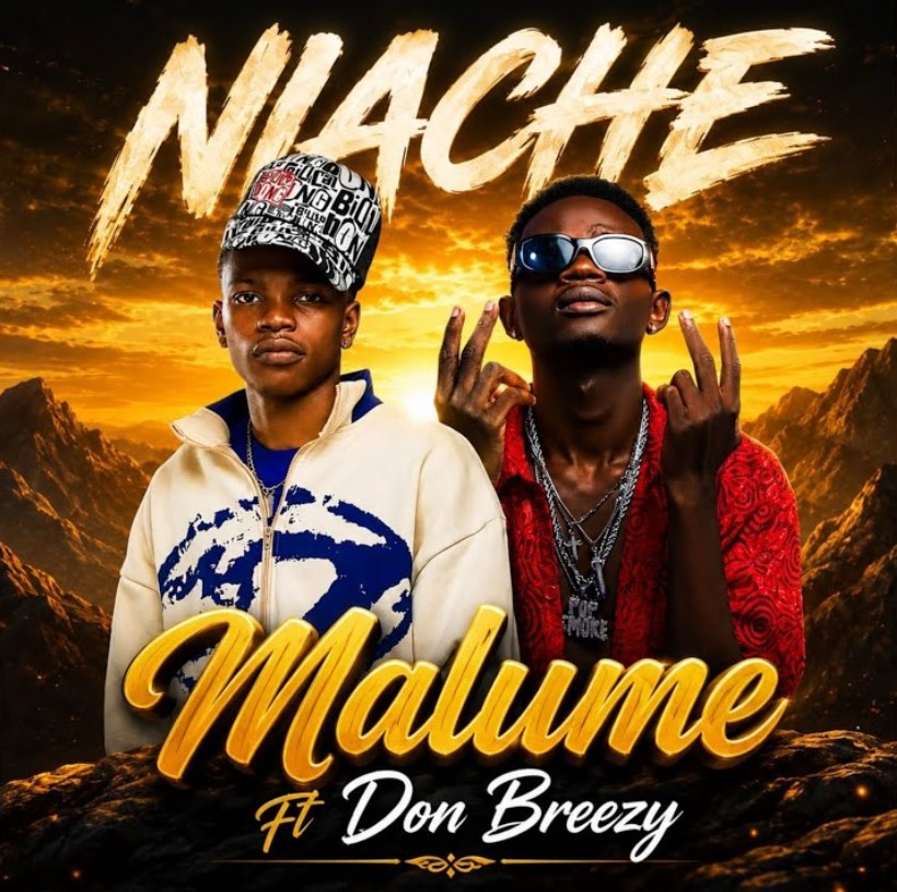 Malume Ft Don Breezy – Niache