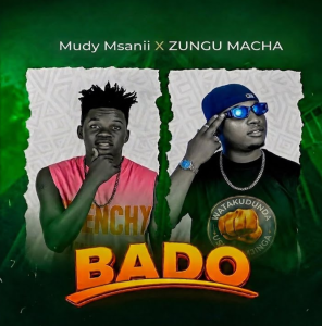Mudy Msanii Ft Zungu Macha - Bado