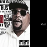 Nikki Mbishi Ft AY - Mali Safi