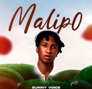 Sunny Voice – Malipo
