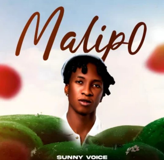 Sunny Voice – Malipo