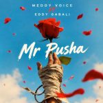 Meddy Voice Ft Eddy Gabali - Mr Pusha
