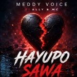 Meddy Voice – Hayupo Sawa