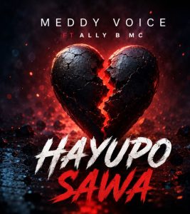 Meddy Voice – Hayupo Sawa