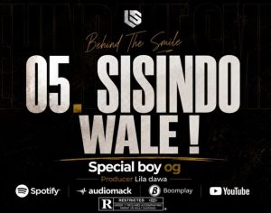 Special Boy Og - Sisi Ndo Wale