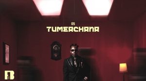 Ibraah - Tumeachana