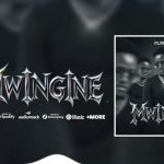 Plannet - Mwingine