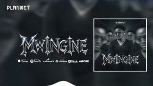 Plannet - Mwingine