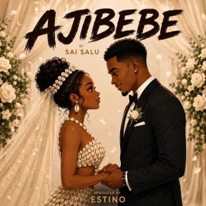 Sai Salu - Ajibebe